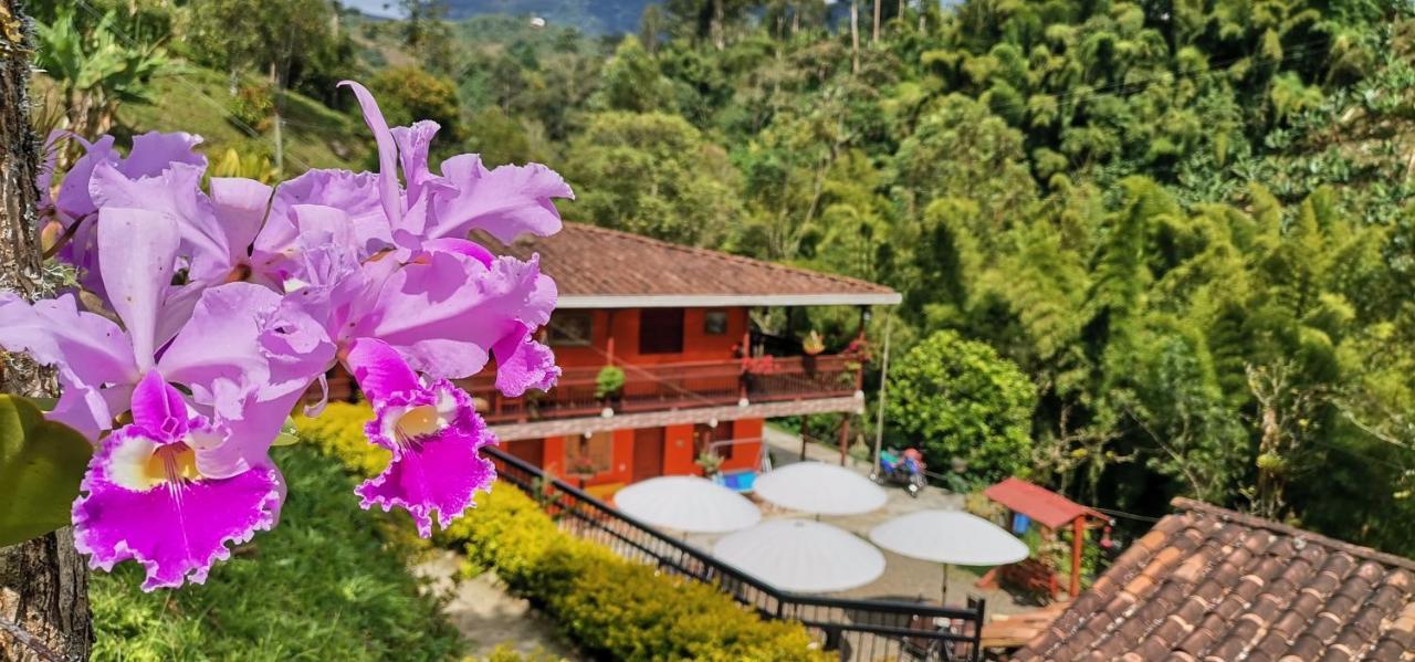 Hotel Orillas Del Pizano Jardín Exterior foto